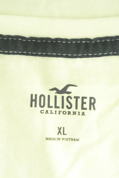 Hollister Co.（ホリスター）の古着「ボタニカル柄Tシャツ（Ｔシャツ）」大画像６へ
