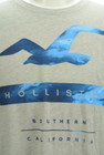 Hollister Co.（ホリスター）の古着「商品番号：PR10298546」-4