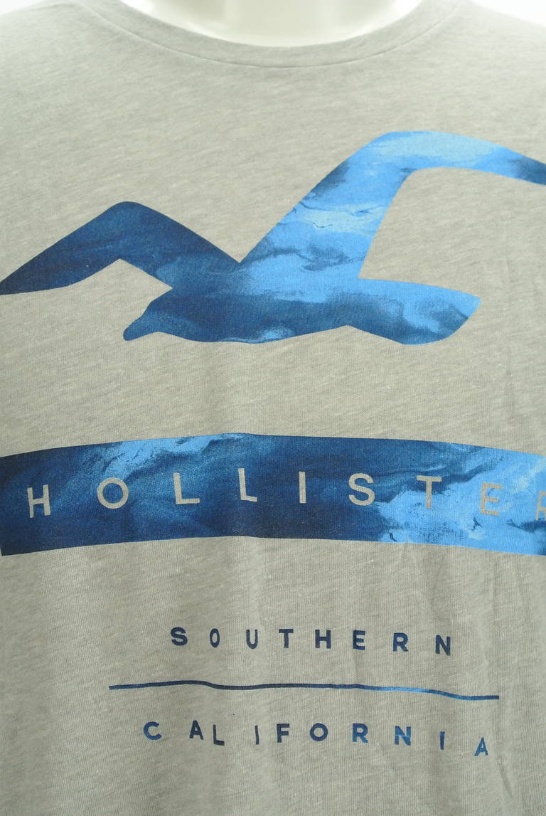 Hollister Co.（ホリスター）の古着「商品番号：PR10298546」-大画像4