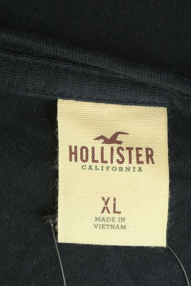 Hollister Co.（ホリスター）の古着「前後切替ボタニカル柄Tシャツ（Ｔシャツ）」大画像６へ