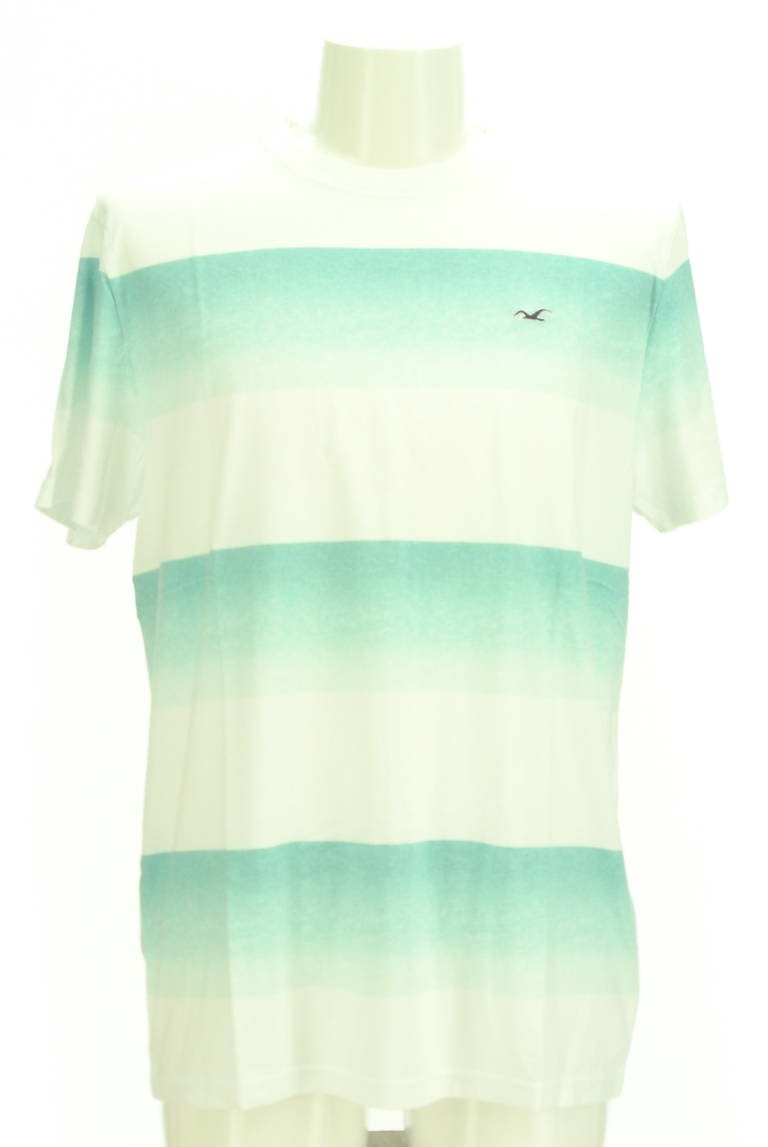 Hollister Co.（ホリスター）の古着「商品番号：PR10298549」-大画像1