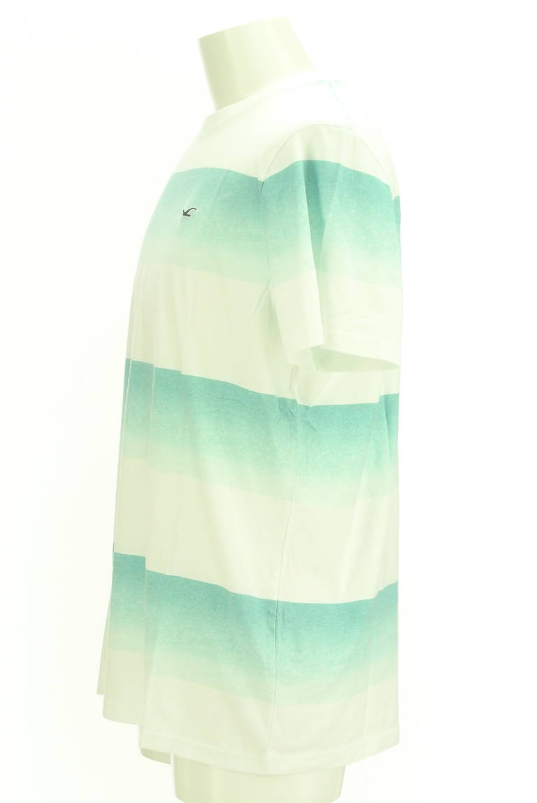 Hollister Co.（ホリスター）の古着「商品番号：PR10298549」-大画像3