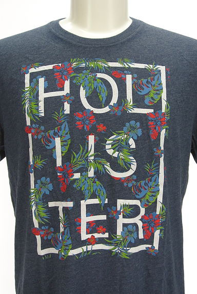 Hollister Co.（ホリスター）の古着「ハイビスカス×ロゴプリントTシャツ（Ｔシャツ）」大画像４へ