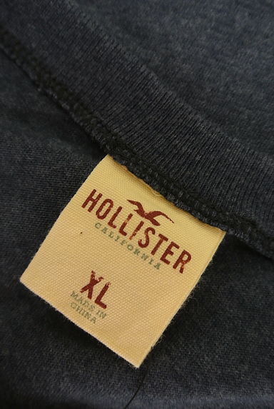 Hollister Co.（ホリスター）の古着「ハイビスカス×ロゴプリントTシャツ（Ｔシャツ）」大画像６へ