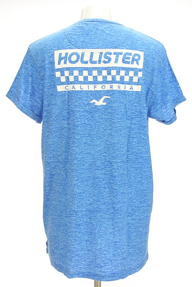Hollister Co.（ホリスター）の古着「バックロゴプリントＴシャツ（Ｔシャツ）」大画像２へ