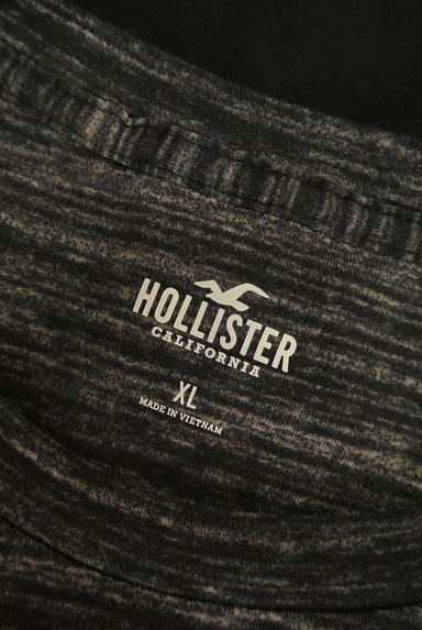 Hollister Co.（ホリスター）の古着「ロゴプリントバイカラーＴシャツ（Ｔシャツ）」大画像６へ