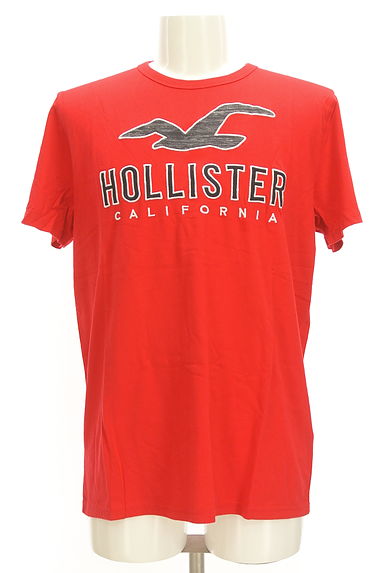 Hollister Co.（ホリスター）の古着「ロゴ刺繍コットンＴシャツ（Ｔシャツ）」大画像１へ