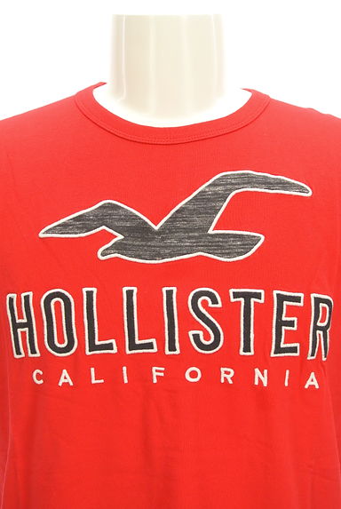 Hollister Co.（ホリスター）の古着「ロゴ刺繍コットンＴシャツ（Ｔシャツ）」大画像４へ