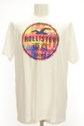 Hollister Co.（ホリスター）の古着「商品番号：PR10298838」-1