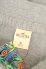 Hollister Co.（ホリスター）の古着「商品番号：PR10298841」-6