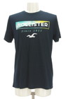 Hollister Co.（ホリスター）の古着「商品番号：PR10298842」-1
