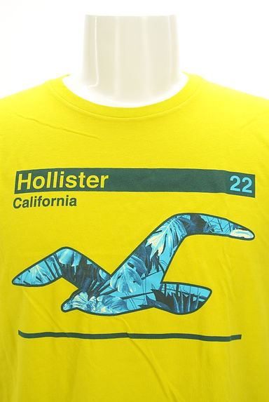 Hollister Co.（ホリスター）の古着「ブランドマークプリントTシャツ（Ｔシャツ）」大画像４へ