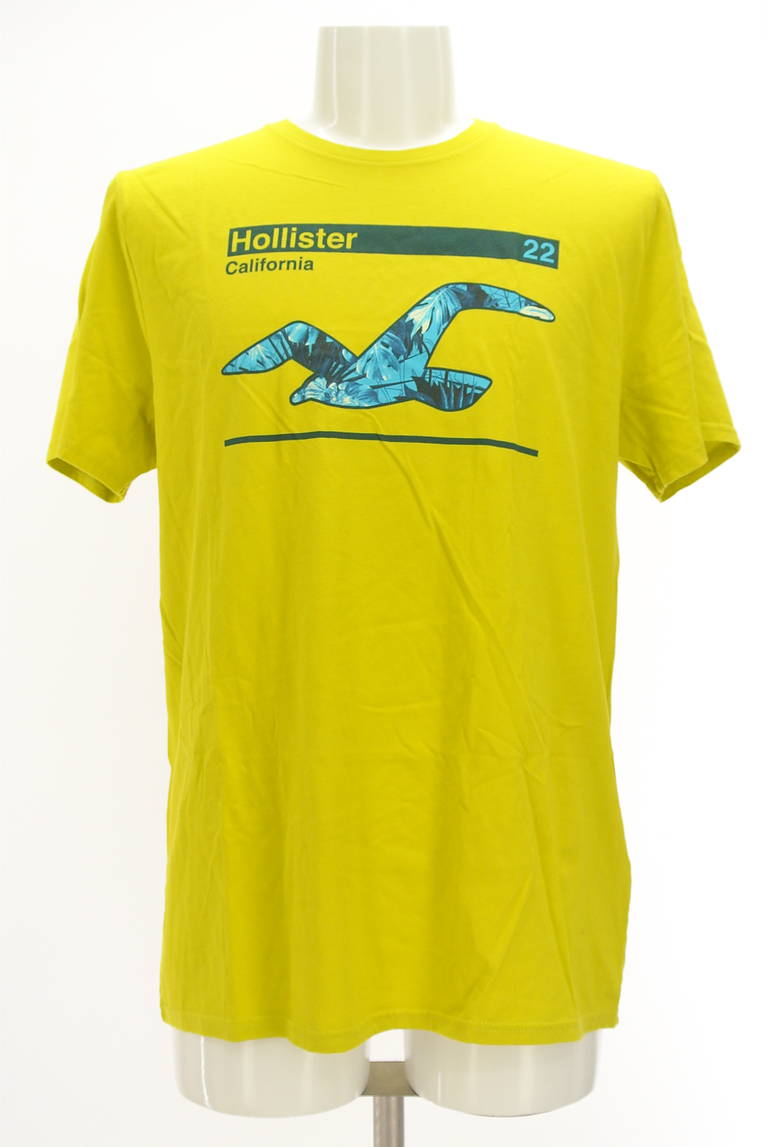 Hollister Co.（ホリスター）の古着「商品番号：PR10298843」-大画像1