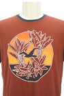Hollister Co.（ホリスター）の古着「商品番号：PR10298846」-4
