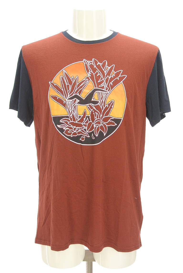 Hollister Co.（ホリスター）の古着「商品番号：PR10298846」-大画像1