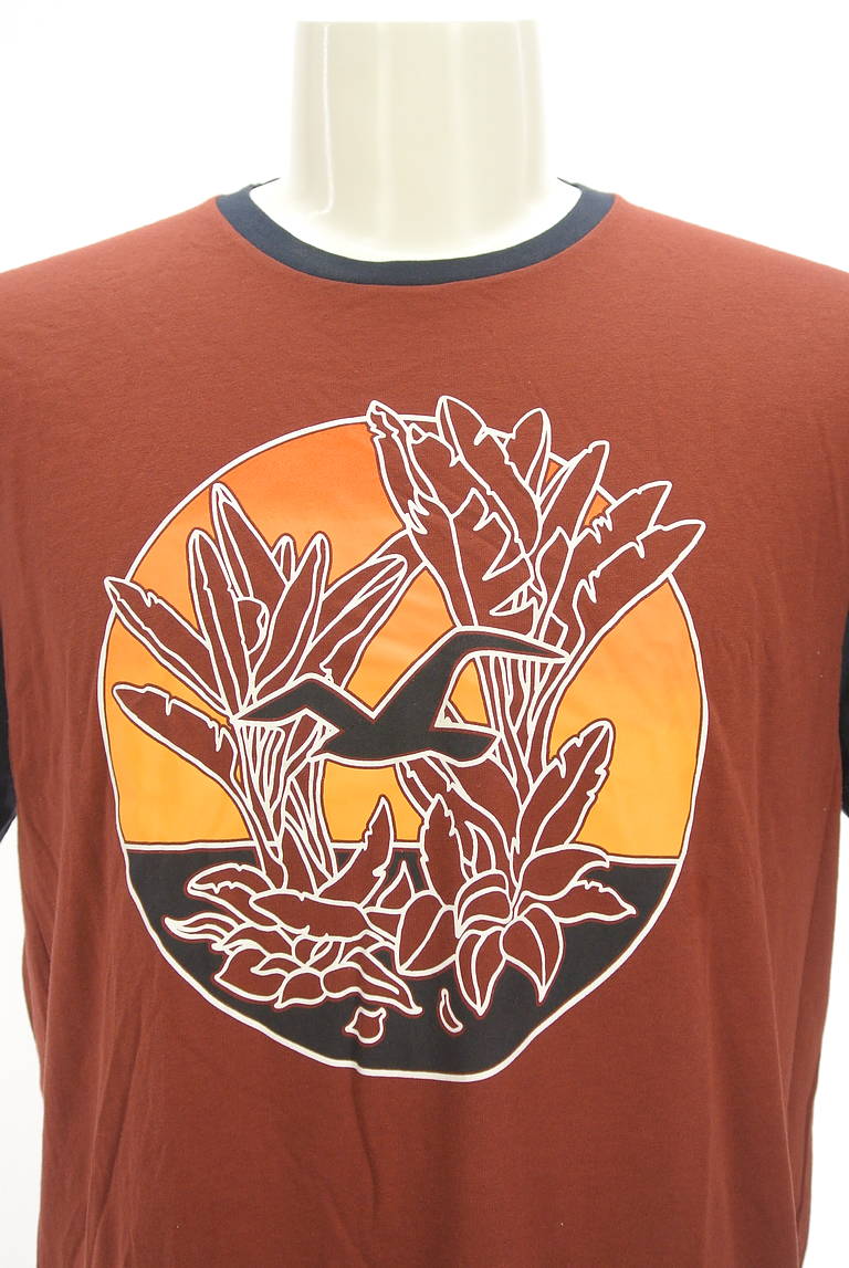 Hollister Co.（ホリスター）の古着「商品番号：PR10298846」-大画像4