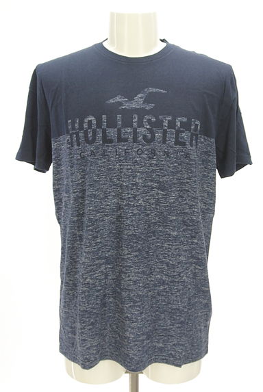 Hollister Co.（ホリスター）の古着「バイカラーロゴTシャツ（Ｔシャツ）」大画像１へ