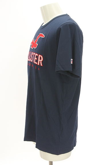 Hollister Co.（ホリスター）の古着「ブランドマーク＆ロゴTシャツ（Ｔシャツ）」大画像３へ