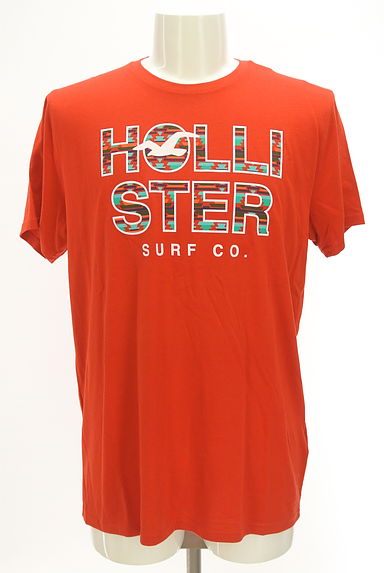 Hollister Co.（ホリスター）の古着「オルテガ柄ロゴTシャツ（Ｔシャツ）」大画像１へ