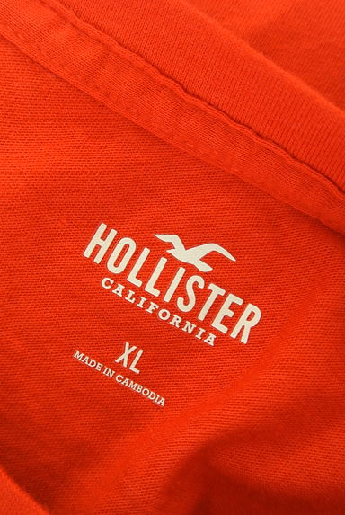 Hollister Co.（ホリスター）の古着「オルテガ柄ロゴTシャツ（Ｔシャツ）」大画像６へ