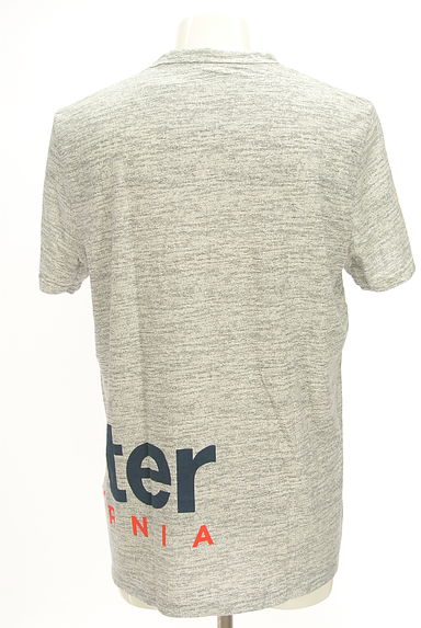 Hollister Co.（ホリスター）の古着「ロゴプリントTシャツ（Ｔシャツ）」大画像２へ