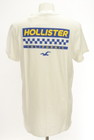 Hollister Co.（ホリスター）の古着「Ｔシャツ」後ろ
