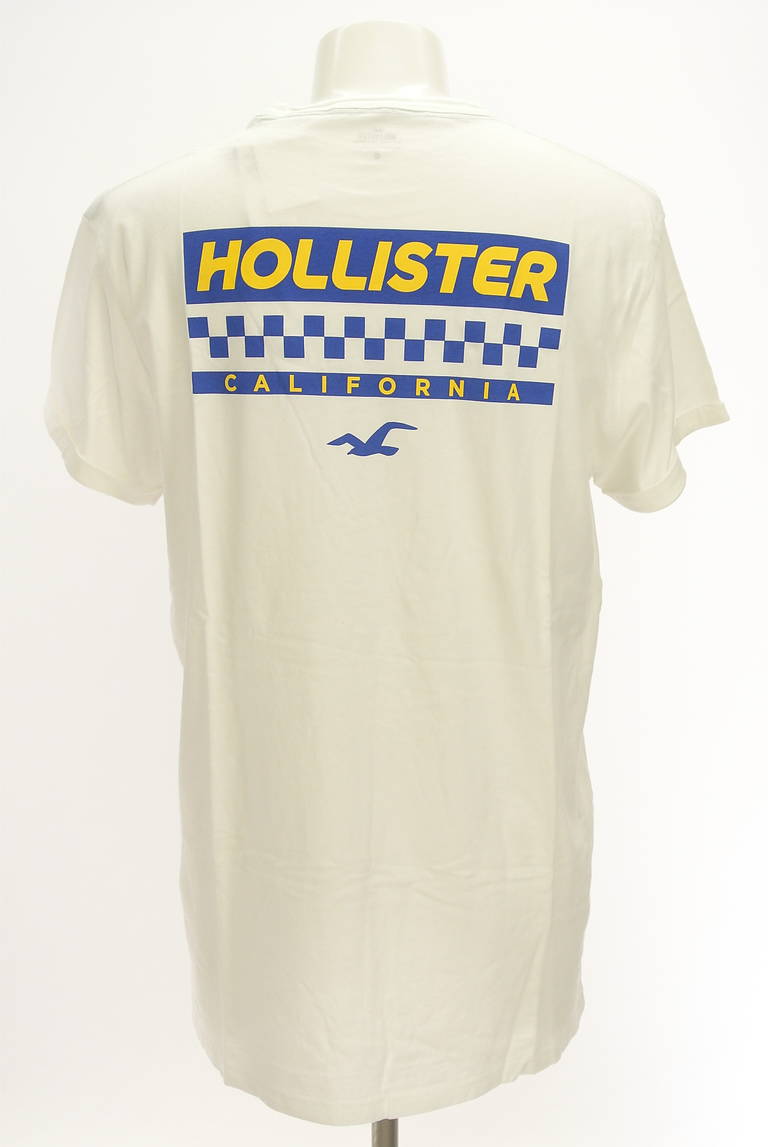 Hollister Co.（ホリスター）の古着「商品番号：PR10298854」-大画像2