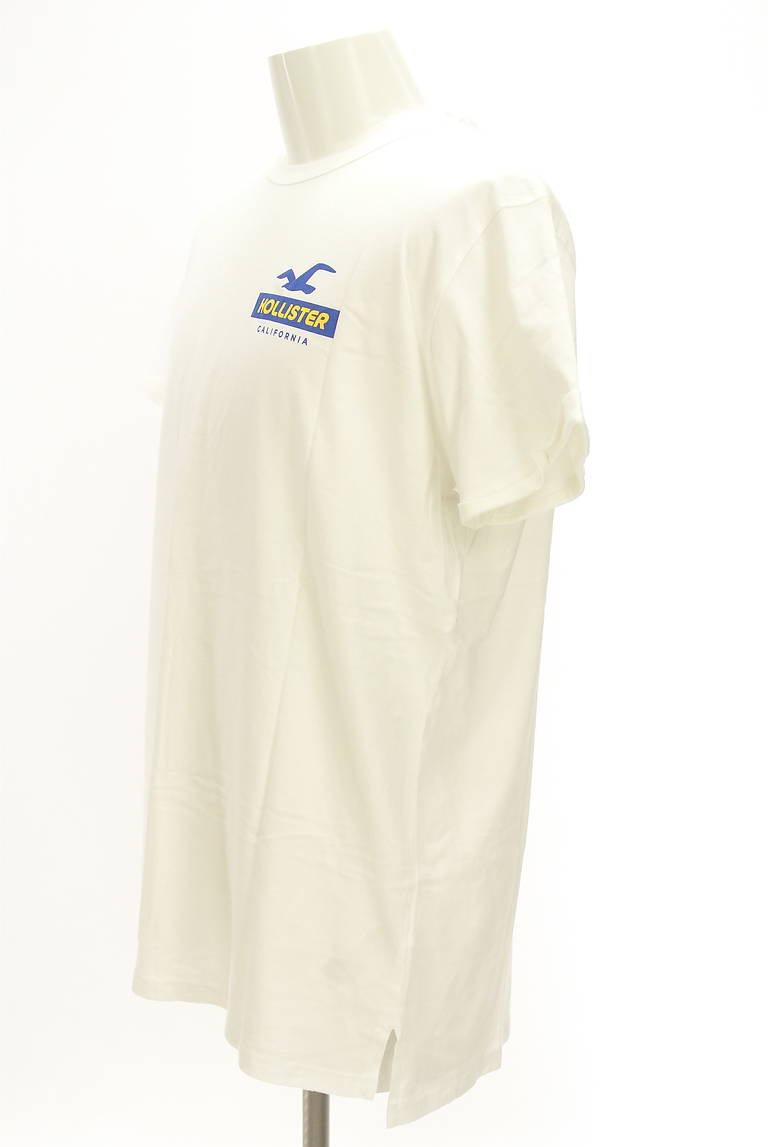 Hollister Co.（ホリスター）の古着「商品番号：PR10298854」-大画像3
