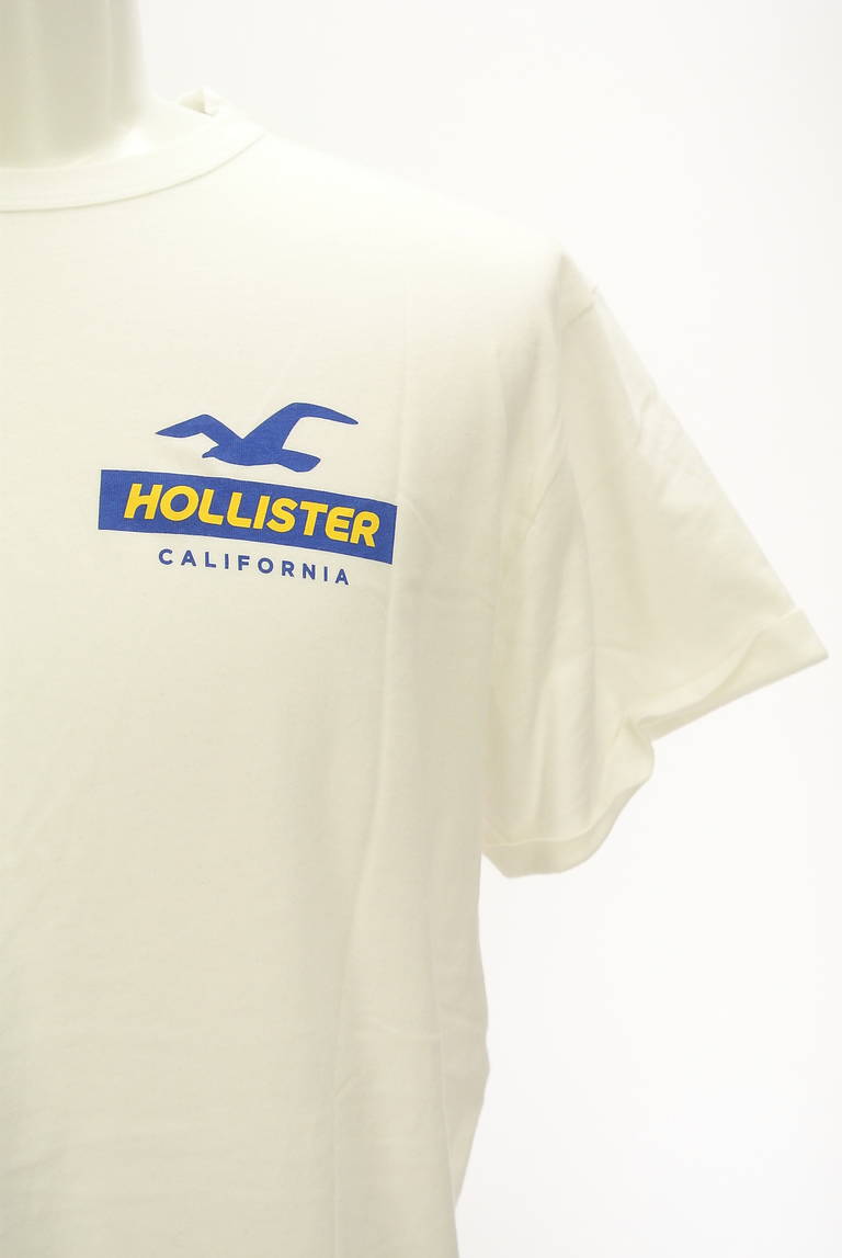 Hollister Co.（ホリスター）の古着「商品番号：PR10298854」-大画像4