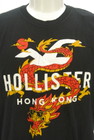 Hollister Co.（ホリスター）の古着「商品番号：PR10298860」-4