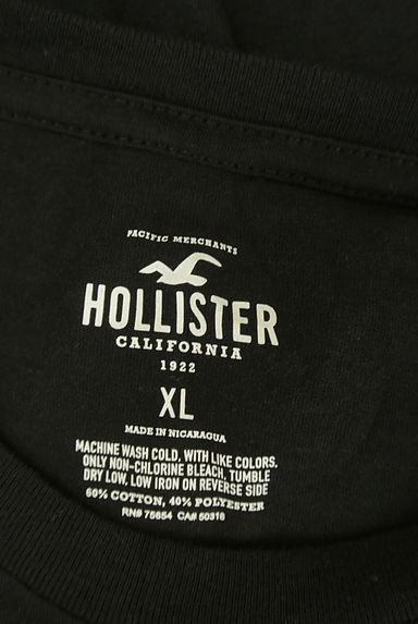 Hollister Co.（ホリスター）の古着「ドラゴン＆ロゴプリントTシャツ（Ｔシャツ）」大画像６へ
