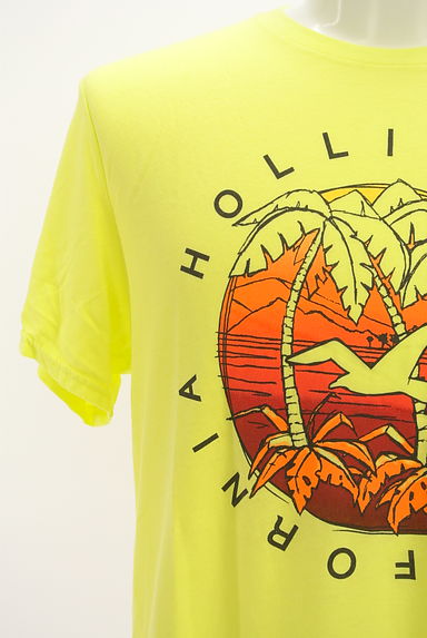 Hollister Co.（ホリスター）の古着「リゾートプリントTシャツ（Ｔシャツ）」大画像４へ