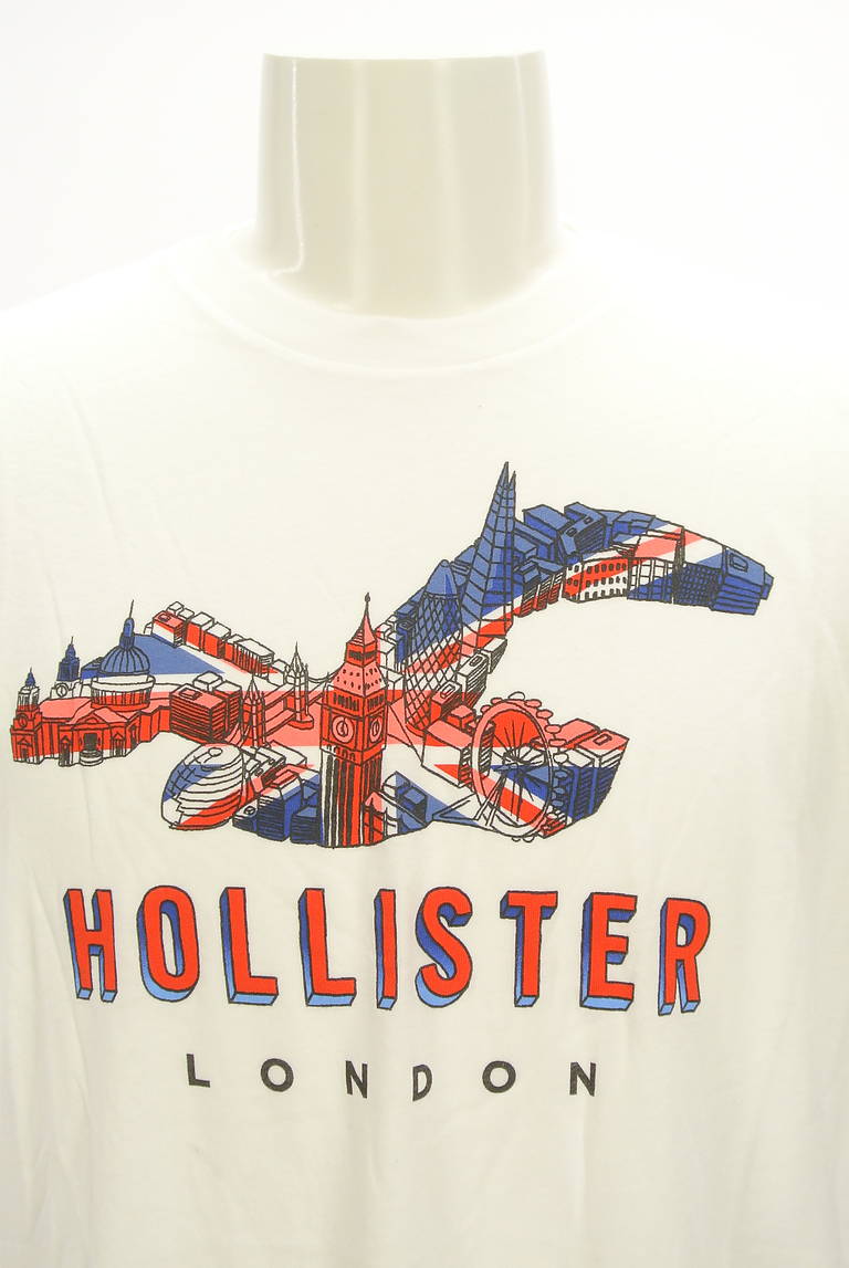 Hollister Co.（ホリスター）の古着「商品番号：PR10298870」-大画像4