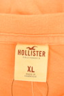 Hollister Co.（ホリスター）の古着「商品番号：PR10298881」-6