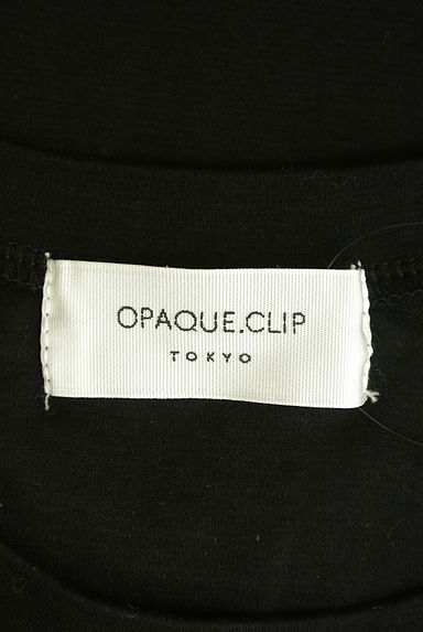 OPAQUE.CLIP（オペークドットクリップ）の古着「ボリュームシアー袖カットソー（カットソー・プルオーバー）」大画像６へ