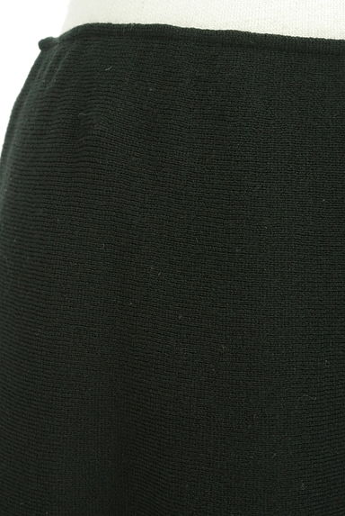SLOBE IENA（スローブイエナ）の古着「ミディニットフレアスカート（スカート）」大画像４へ