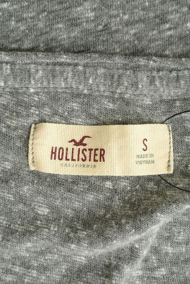 Hollister Co.（ホリスター）トップス買取実績のブランドタグ画像