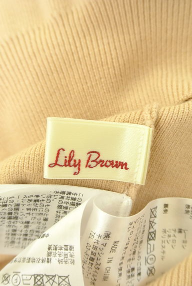 Lily Brown（リリーブラウン）の古着「ボリュームチェック袖Vネックニット（ニット）」大画像６へ