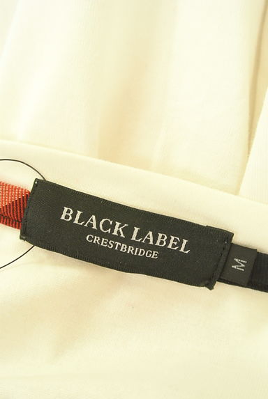 BLACK LABEL CRESTBRIDGE（ブラックレーベル・クレストブリッジ）の古着「チェックポケット付きTシャツ（Ｔシャツ）」大画像６へ
