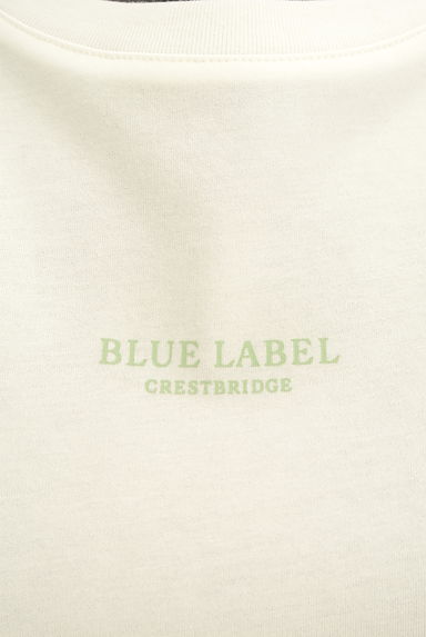 BLUE LABEL CRESTBRIDGE（ブルーレーベル・クレストブリッジ）の古着「袖ロールアップ半袖Ｔシャツ（Ｔシャツ）」大画像４へ