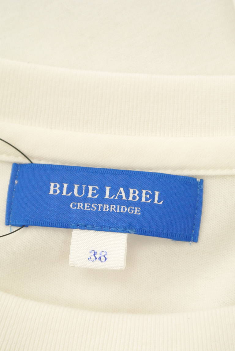 BLUE LABEL CRESTBRIDGE（ブルーレーベル・クレストブリッジ）の古着「商品番号：PR10300622」-大画像6