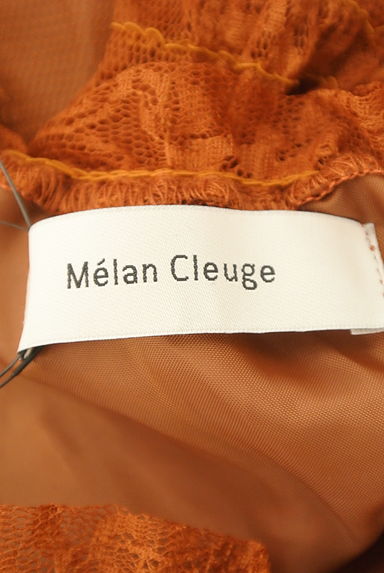Melan Cleuge（メランクルージュ）の古着「８分袖総レースカットソー（カットソー・プルオーバー）」大画像６へ
