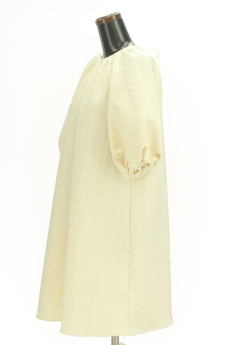 N.Natural Beauty Basic*(エヌ ナチュラルビューティーベーシック)の古着「商品番号:PR10301465」-大画像3