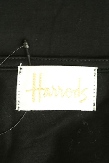 Harrods（ハロッズ）の古着「ドットチュール切替プルオーバー（カットソー・プルオーバー）」大画像６へ