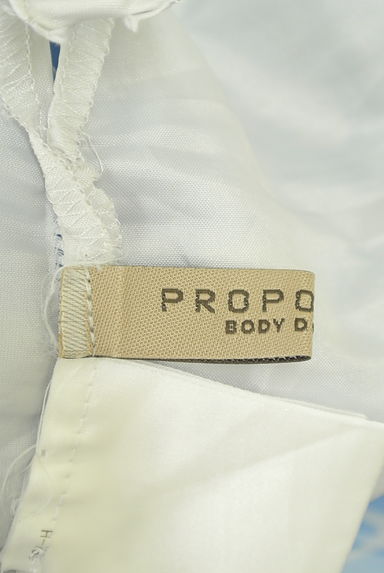 PROPORTION BODY DRESSING（プロポーションボディ ドレッシング）の古着「シアーティアードミニスカート（スカート）」大画像６へ
