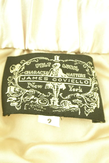 JAMES COVIELLO（ジェームズコヴィエロ）の古着「シフォンフリルミニスカート（ミニスカート）」大画像６へ