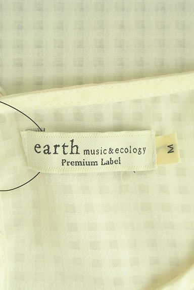 earth music&ecology（アースミュージック＆エコロジー）の古着「小花付きバルーン袖チェックシアーカットソー（カットソー・プルオーバー）」大画像６へ