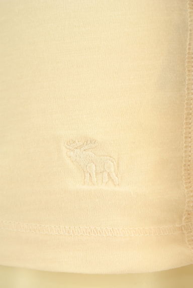 Abercrombie&Fitch（アバクロンビーアンドフィッチ）の古着「立体花刺繍カットソー（カットソー・プルオーバー）」大画像５へ