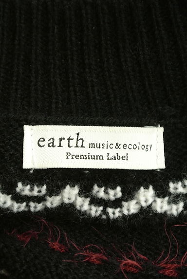earth music&ecology（アースミュージック＆エコロジー）の古着「ネイティブ柄ニットトップス（セーター）」大画像６へ