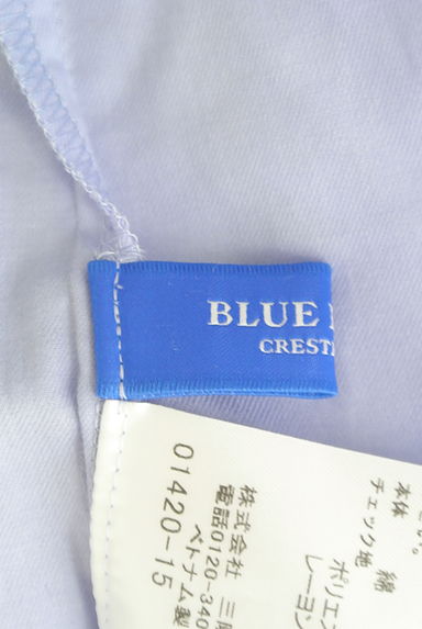 BLUE LABEL CRESTBRIDGE（ブルーレーベル・クレストブリッジ）の古着「ボリューム五分袖ピンタックカットソー（カットソー・プルオーバー）」大画像６へ